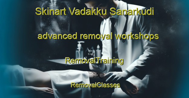 Skinart Vadakku Sanarkudi advanced removal workshops | RemovalTraining | RemovalClasses | SkinartTraining-India