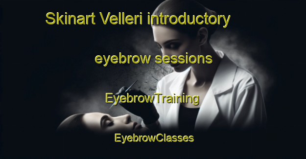 Skinart Velleri introductory eyebrow sessions | EyebrowTraining | EyebrowClasses | SkinartTraining-India