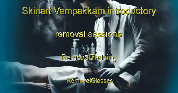 Skinart Vempakkam introductory removal sessions | RemovalTraining | RemovalClasses | SkinartTraining-India