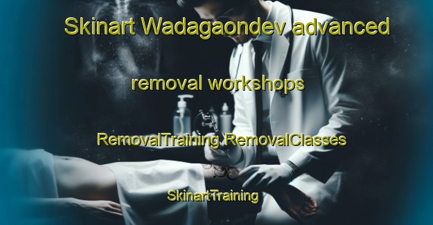 Skinart Wadagaondev advanced removal workshops | #RemovalTraining #RemovalClasses #SkinartTraining-India