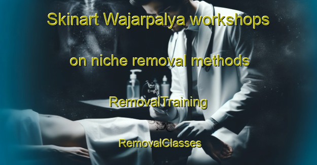 Skinart Wajarpalya workshops on niche removal methods | RemovalTraining | RemovalClasses | SkinartTraining-India