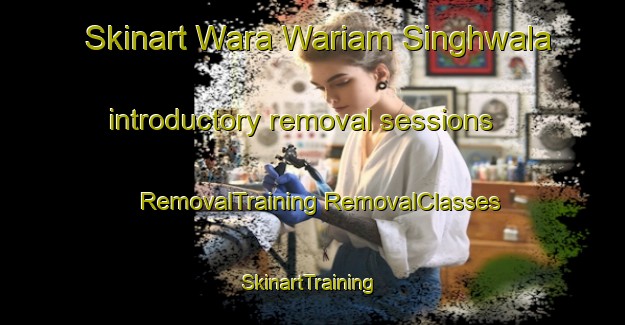 Skinart Wara Wariam Singhwala introductory removal sessions | #RemovalTraining #RemovalClasses #SkinartTraining-India