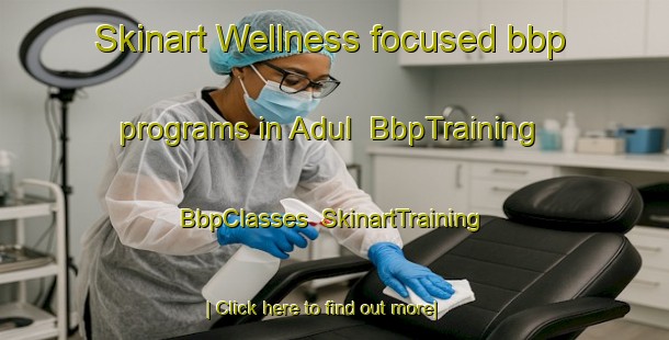 Skinart Wellness-focused bbp programs in Adul | BbpTraining | BbpClasses | SkinartTraining-India