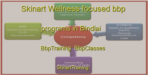 Skinart Wellness-focused bbp programs in Bindlai | BbpTraining | BbpClasses | SkinartTraining-India