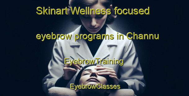 Skinart Wellness-focused eyebrow programs in Channu | EyebrowTraining | EyebrowClasses | SkinartTraining-India