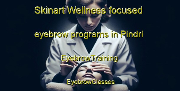 Skinart Wellness-focused eyebrow programs in Pindri | EyebrowTraining | EyebrowClasses | SkinartTraining-India