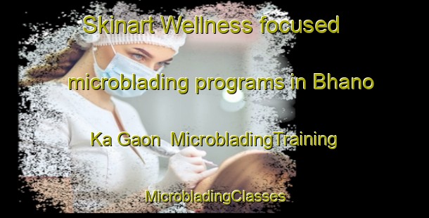 Skinart Wellness-focused microblading programs in Bhano Ka Gaon | #MicrobladingTraining #MicrobladingClasses #SkinartTraining-India