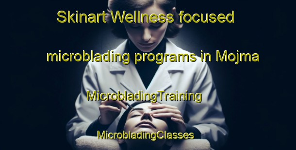Skinart Wellness-focused microblading programs in Mojma | MicrobladingTraining | MicrobladingClasses | SkinartTraining-India