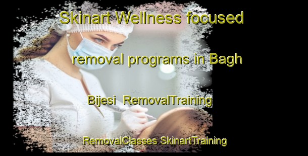 Skinart Wellness-focused removal programs in Bagh Bijesi | #RemovalTraining #RemovalClasses #SkinartTraining-India