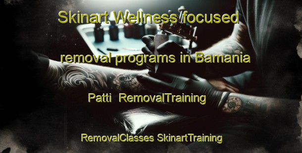 Skinart Wellness-focused removal programs in Bamania Patti | #RemovalTraining #RemovalClasses #SkinartTraining-India