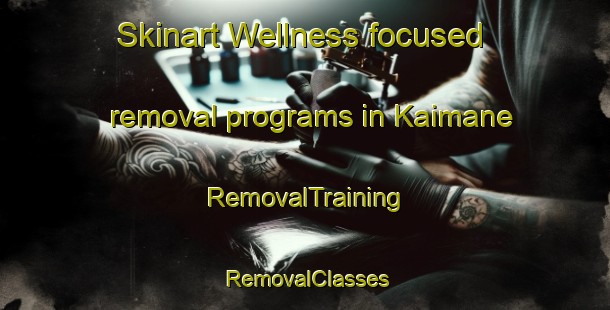 Skinart Wellness-focused removal programs in Kaimane | RemovalTraining | RemovalClasses | SkinartTraining-India