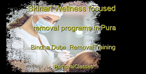 Skinart Wellness-focused removal programs in Pura Bindha Dube | RemovalTraining | RemovalClasses | SkinartTraining-India