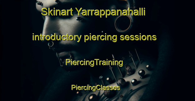 Skinart Yarrappanahalli introductory piercing sessions | PiercingTraining | PiercingClasses | SkinartTraining-India